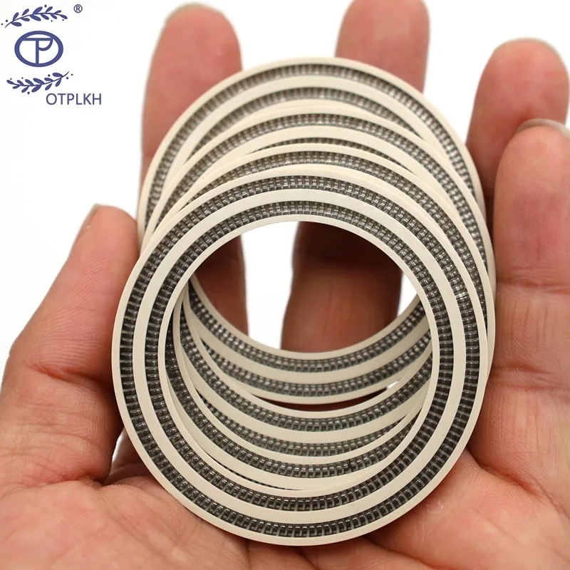 Spring seal ring for shaft PEEK Groove ring Double groove spring seal 301 V Spring polyetheretherketone Seals Factory Customized