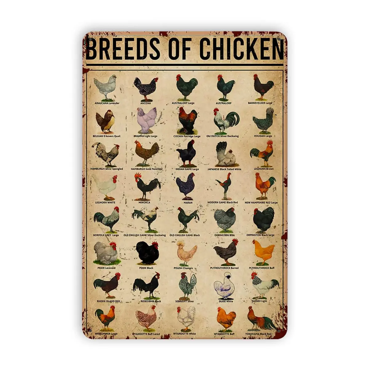 Металлические оловянные знаки для пород цыплят, жестяной знак, фотозначок в виде животного, знания о домашнем декоре, алюминиевый знак, подарок 8