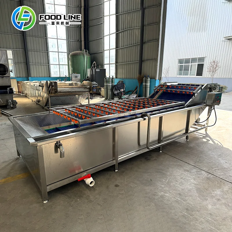 Customized Effective Air Bubble Washing Machine with Dryer Fruit Bubble Washing Machine for Usage