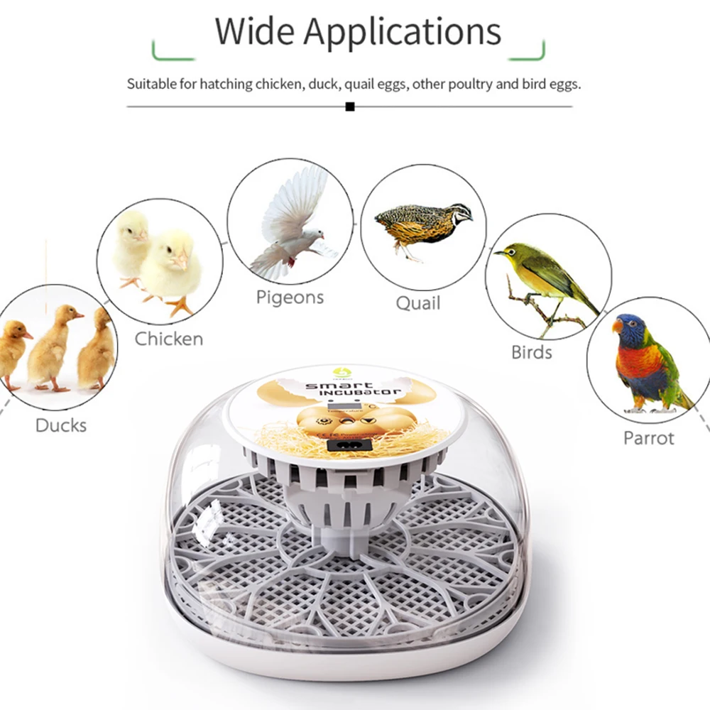 Egg Incubator for Hatching with Automatic Egg Turning Led Egg Test Lamp Clear Lid 12 Eggs Poultry Hatcher Farm Hatcher Tools