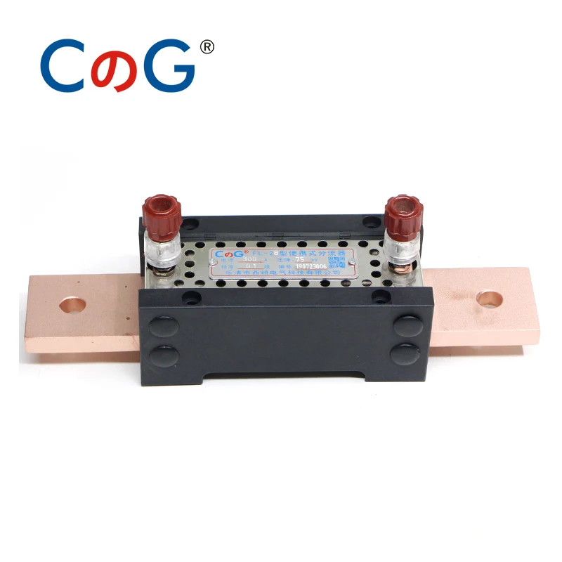 CG 10A 20A 50A 100A 300A 0.1% Class Level 50mV/75mV/100mV Copper High Accuracy Metering Laboratory Specific DC Shunt Resistor