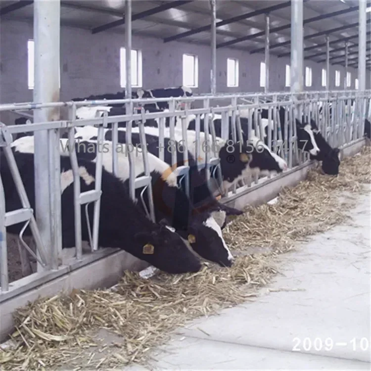 Thickened hot-dip galvanized cattle headlock (single-opening movable position / double-opening) cattle farm positioning fence