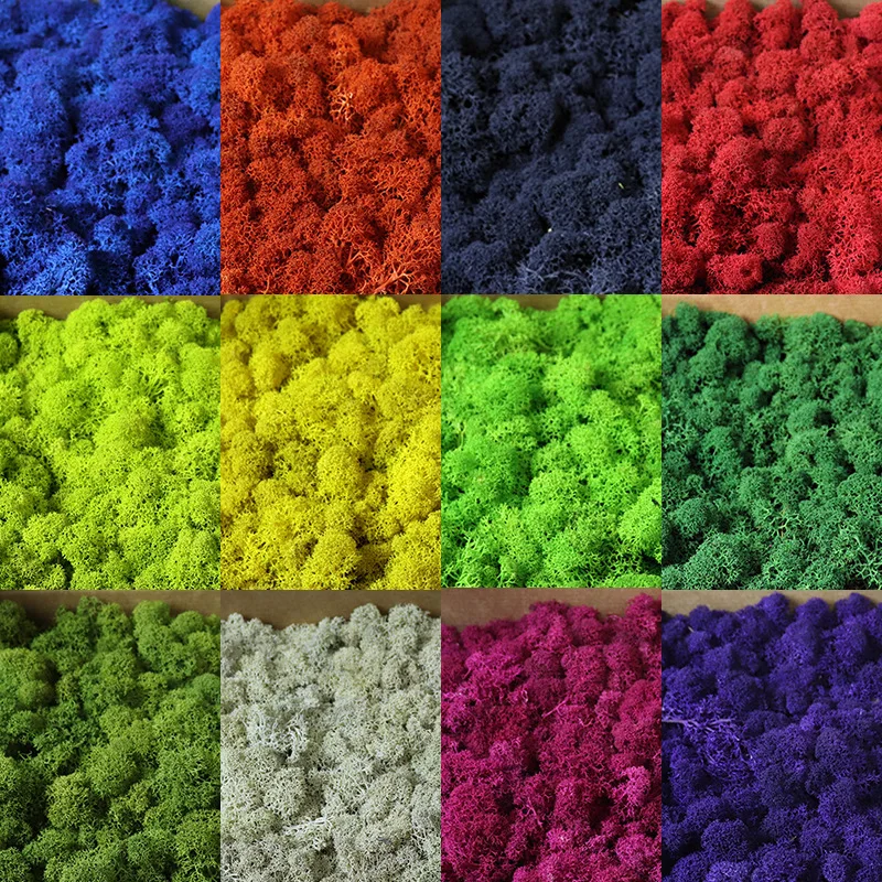 رخيصة 500/100 جرام النباتات الخضراء الاصطناعية الحياة الأبدية الطحلب العشب المشهد الصغير العشب وهمية Crafts بها بنفسك الحرف حديقة ديكور المنزل المعيشة