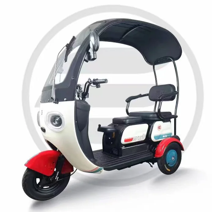 CQHZJ Three Wheels Cargo Electric Tricycle Motorcycle Mobility Scooter E bike 3 Wheels Electric Bike With Cover