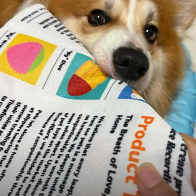 Hundespielzeug aus Zeitungspapier für kleine und mittelgroße Pudel und Teddyhunde, bissfest und waschbar. ﻿