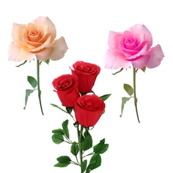 C285# Rose Wall Sticker Room Background Home Romantic Decoration Mural Living Room Wallpaper Funny Decal