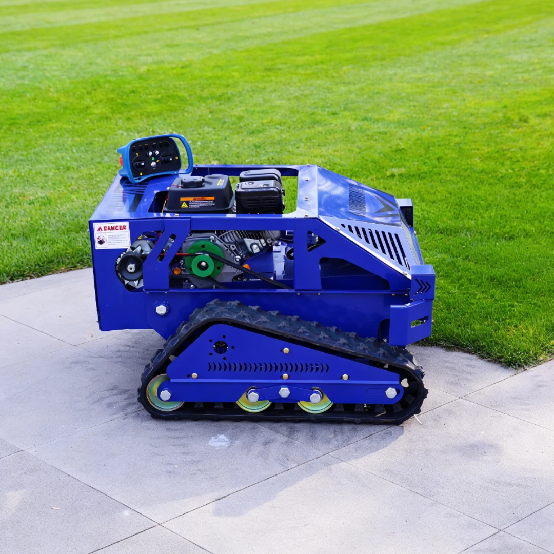 Customized Multi-Fu…