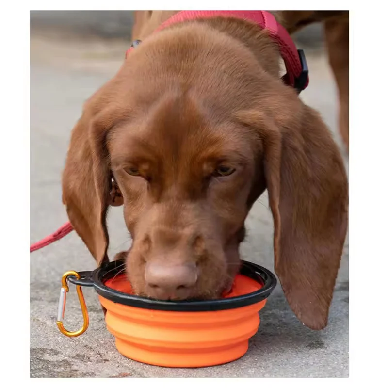 Thumbnail 3 - #20 Best Collapsible Dog Bowls to Buy In 2026