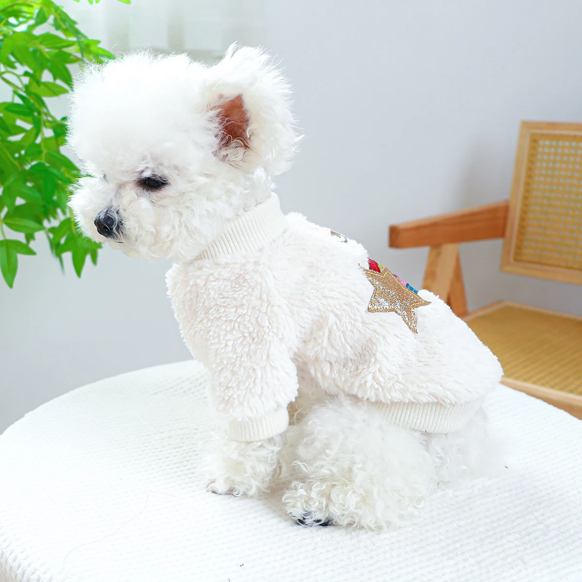 1PC Pet Clothing Dog Autumn and Winter Thickened Warm White Rainbow Pullover With Drawstring Buckle For Small Medium Dogs