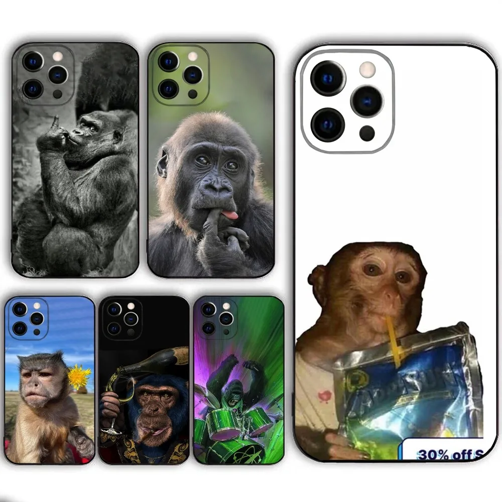 Monkey Sipping Capri Meme Funda   Phone Case  For IPHONE 15,13,14,12,Mini ,11, Xr, X ,Xs Pro Max 8, 7 Plus Back Cover