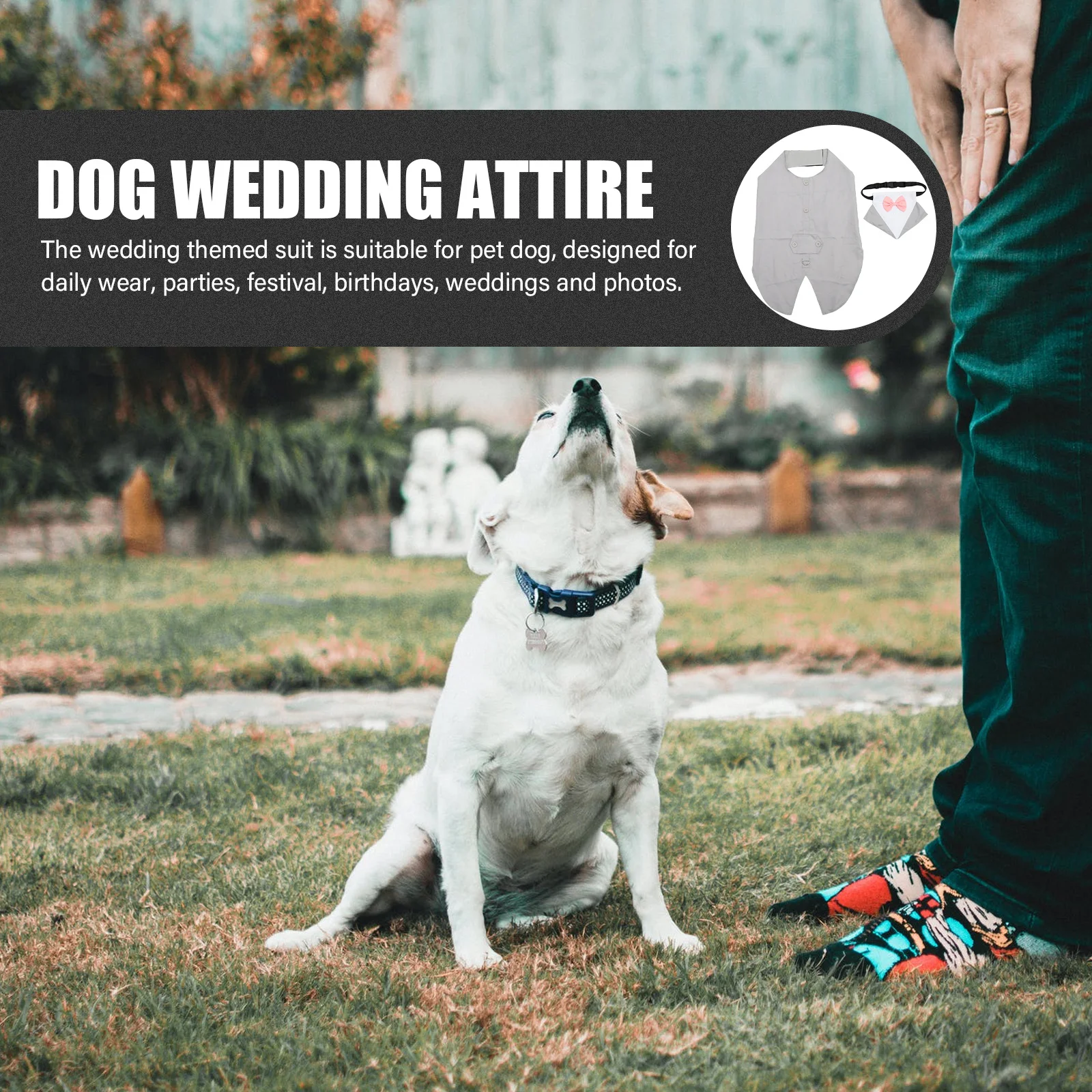 

1Set Pet Suit Dog Outfit Wedding Attire Triangular Scarf Puppy Festival Costume Bow Tie Male Dog Clothes Bow Tie for Dogs