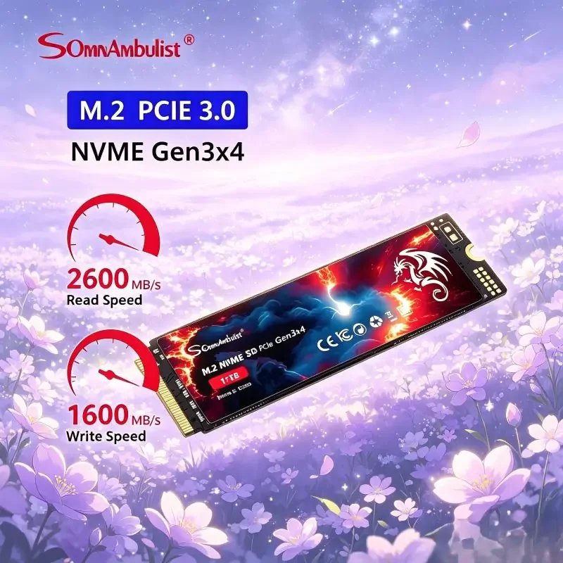 option-de-stockage-quotidien-et-pour-jeux-somnambulist-premium-2280-pcie30-m2-nvme-ssd-avec-une-selection-complete-de-capacites-et-des-performances-elevees