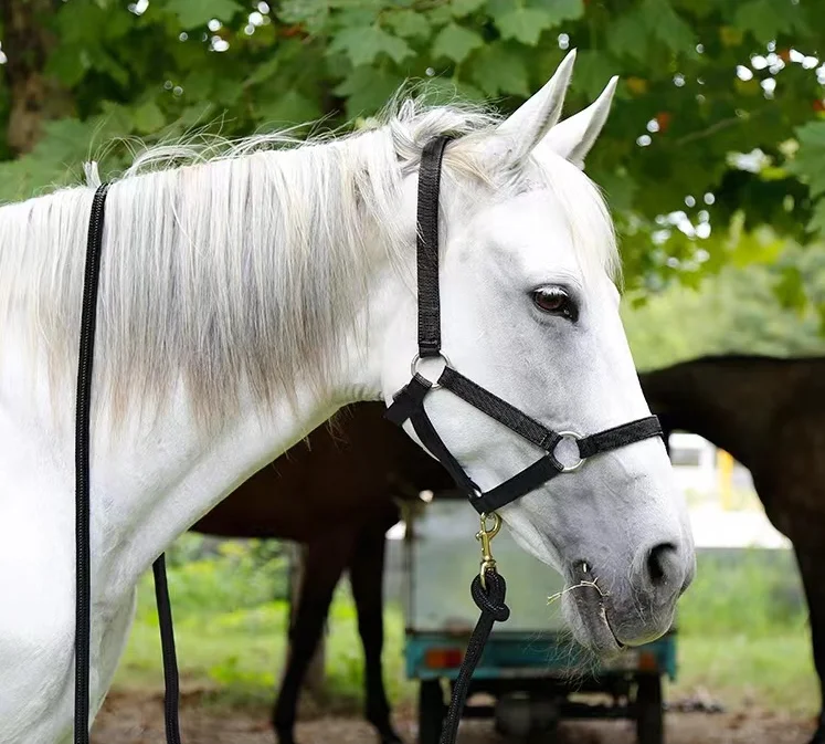 Equestrian fitness bridle ropes Outdoor lead bridle ropes horse ropes Equestrian bridle ropes horse stables bridle equipment