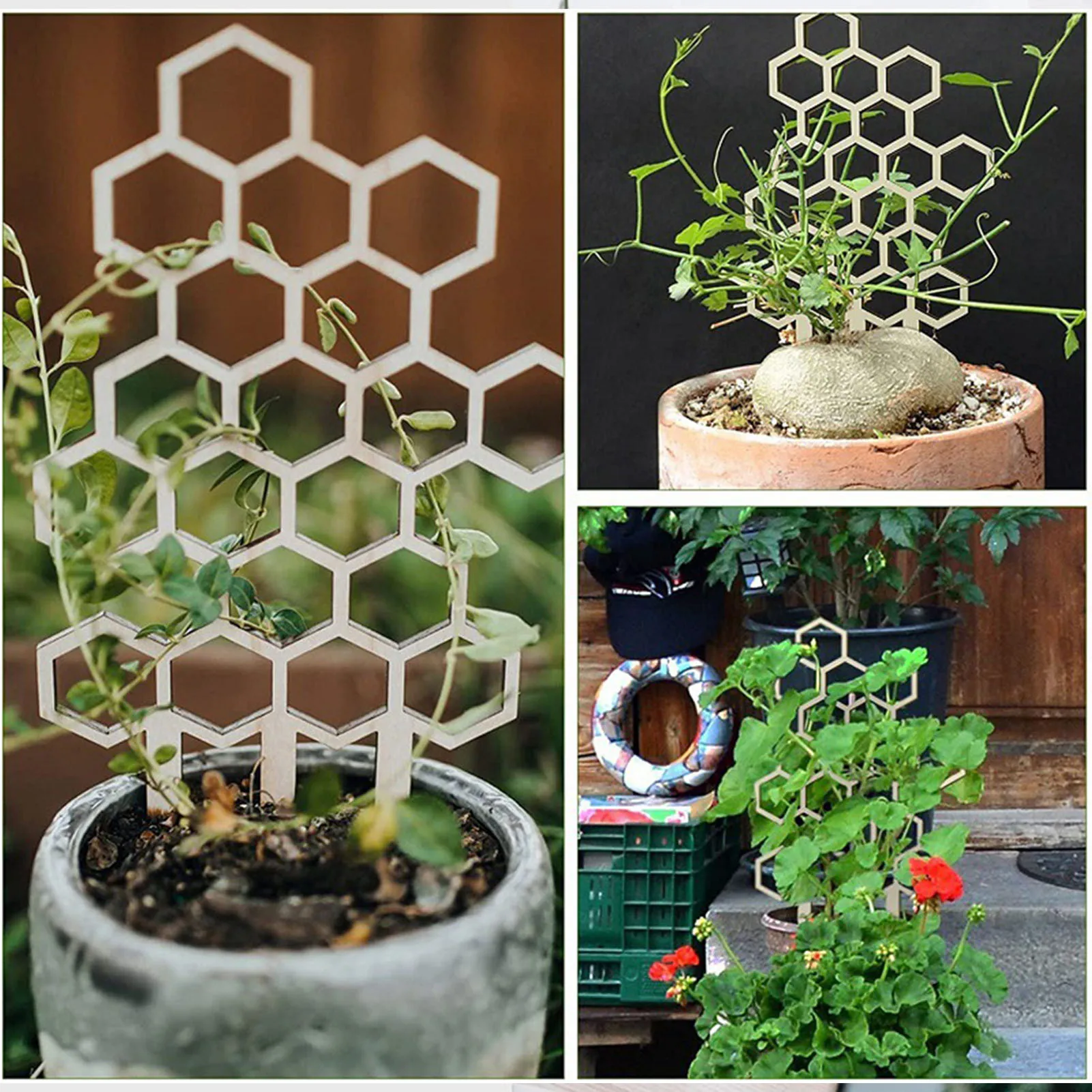 Wood Honeycomb Shape Plant Trellis for Climbing Stake Indoor Home Plants Supporter Balcony Flower Support Rack Garden Supplies