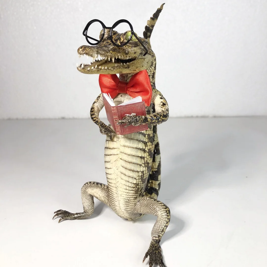 2267 Novelty Reading Pose Hand Finished Craft Ornament Wholesale Bulk Order Cute Stylish Desktop Art Display Collectible Themed