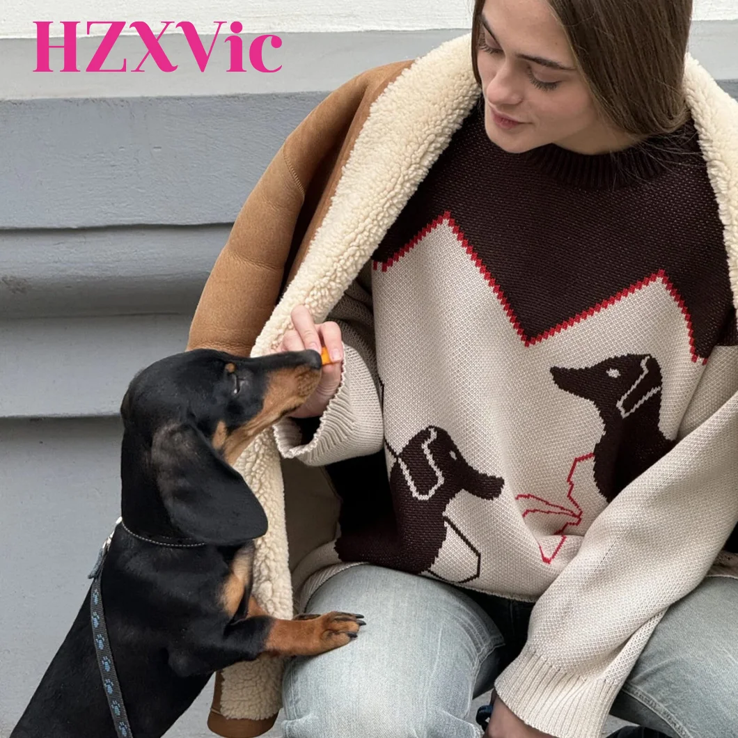 

HZXVic женский свитер с рисунком щенка, вязаный свитер с длинными рукавами, свободный осенний свитер в стиле ретро, ленивый стиль, пикантный свитер для девочек, коричневый