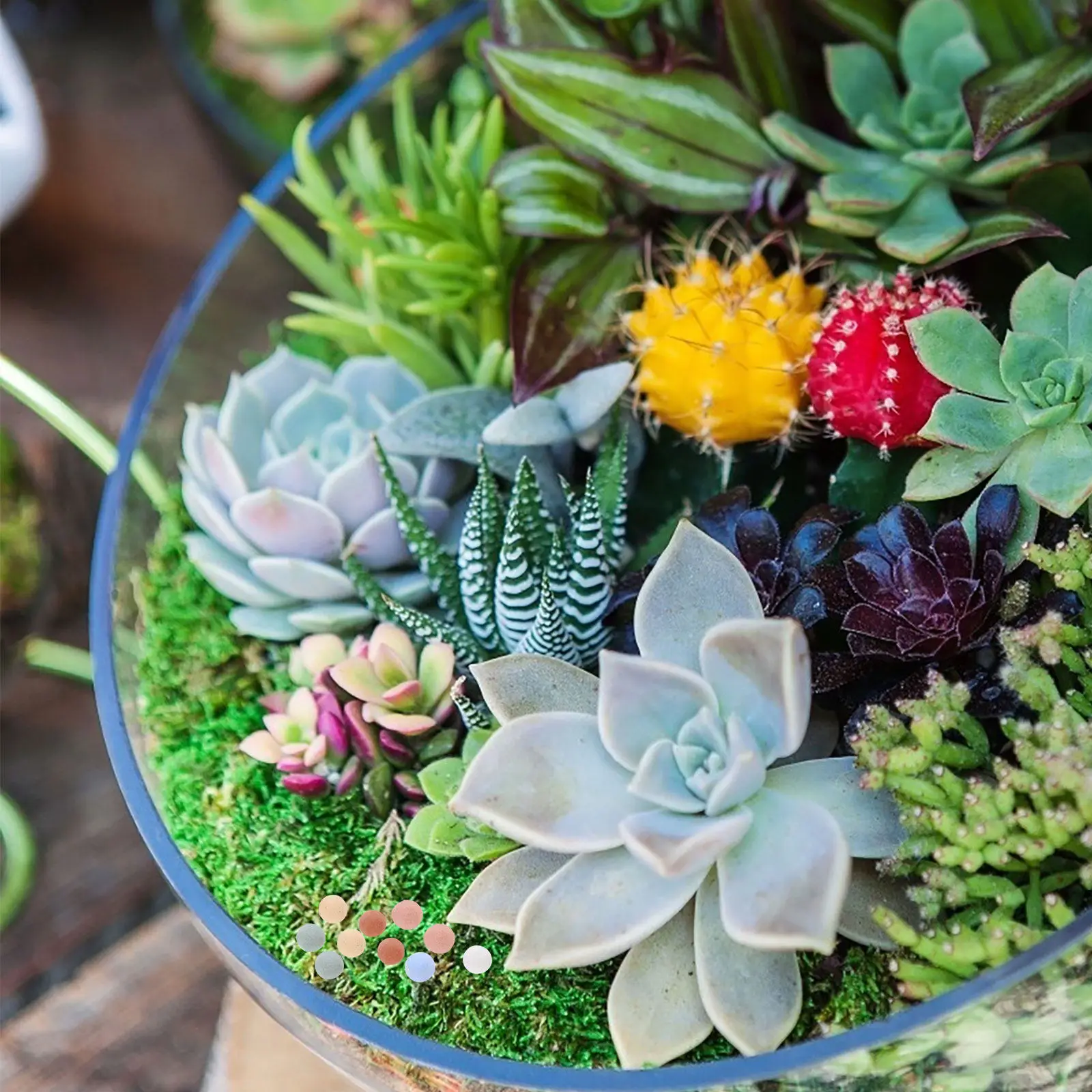 

Керамзит: Декоративные керамические камни, глина для гончарных изделий, грунт для суккулентов и бонсай, садовые принадлежности, грунтовые материалы