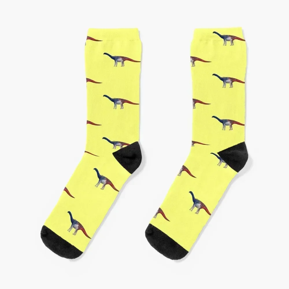 

Ampelosaurus Socks professional running New year's sports stockings funny gift Women Socks Men's