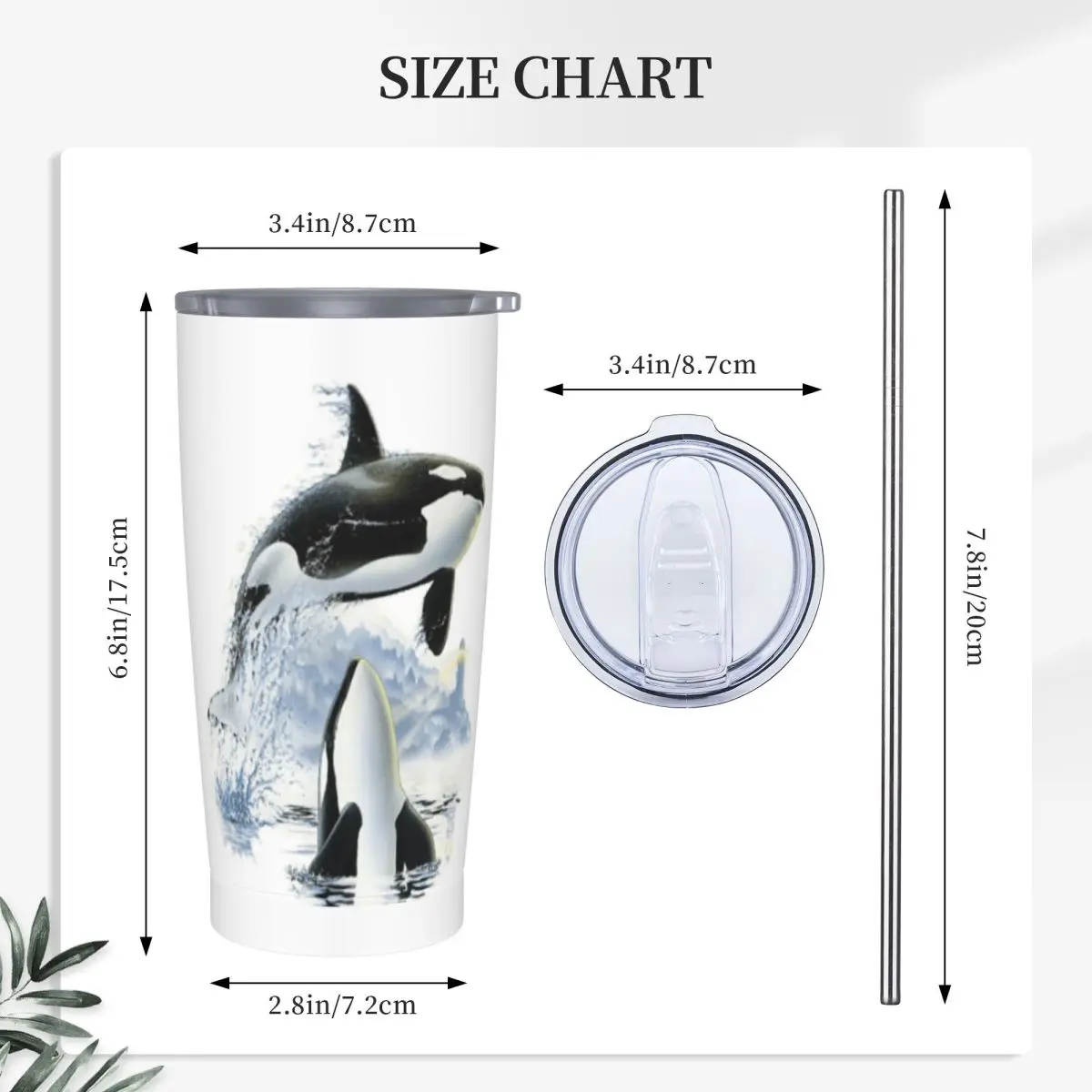 Orca Killer Whale Flies Or Jumps Oves The Ocean Stainless Steel Tumbler Vacuum Insulated Mug Thermal Cold Bottle Straws With Lid