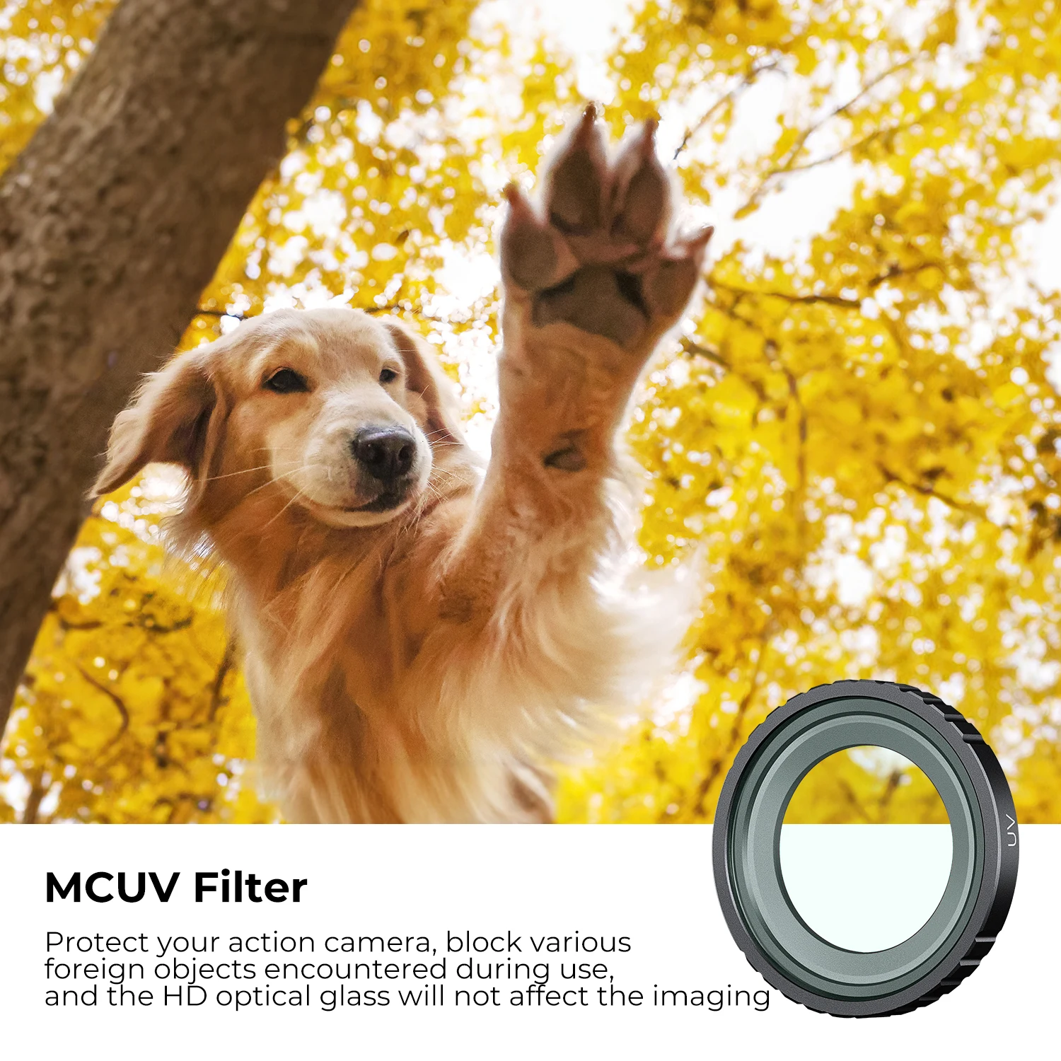 K&F CONCEPT 3-Piece MCUV CPL N - đánh giá và giá Insta360 Camera Go 3