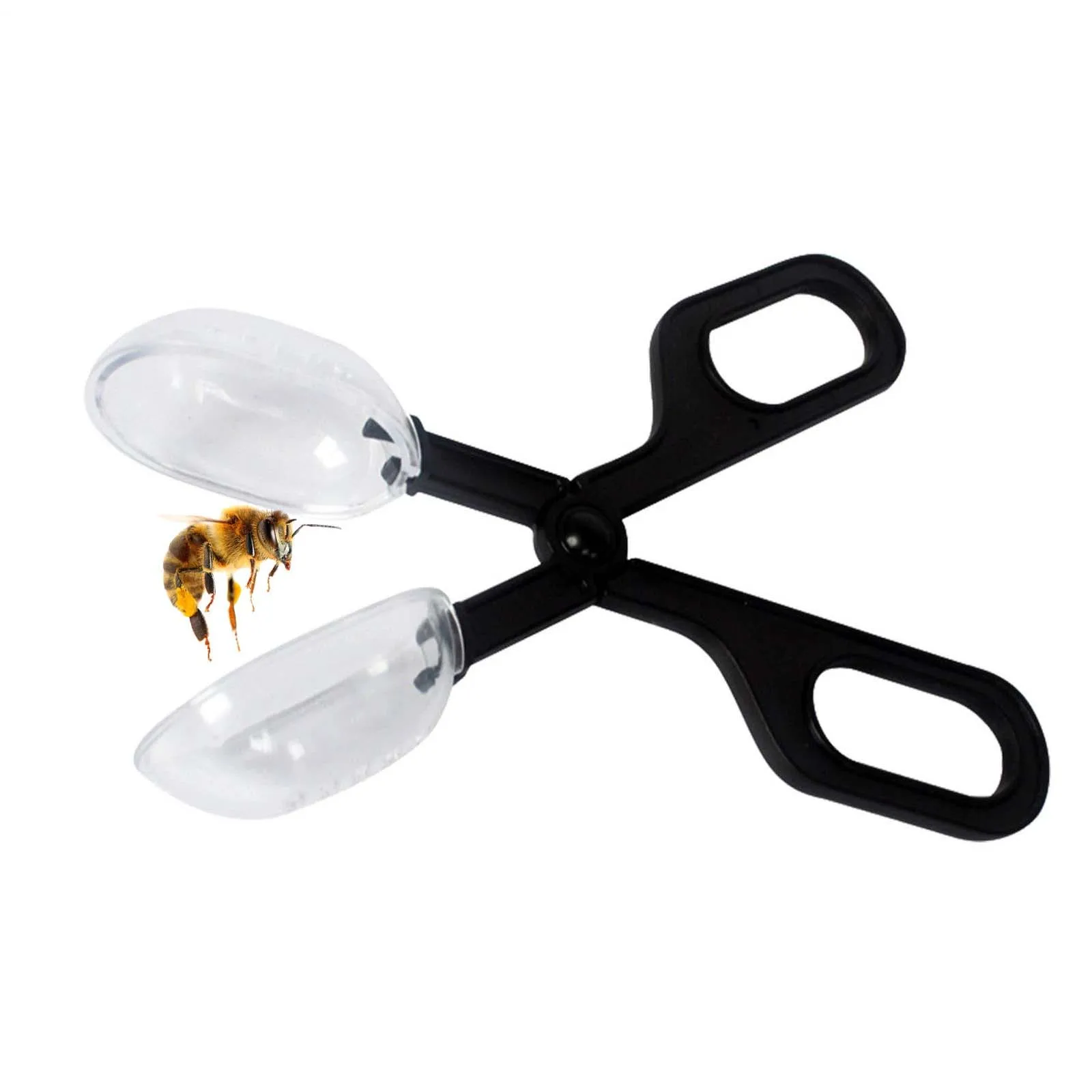 

Special Bee Catching Clamp, Portable Wild Bee Catcher for Beehive Beekeeping Tool