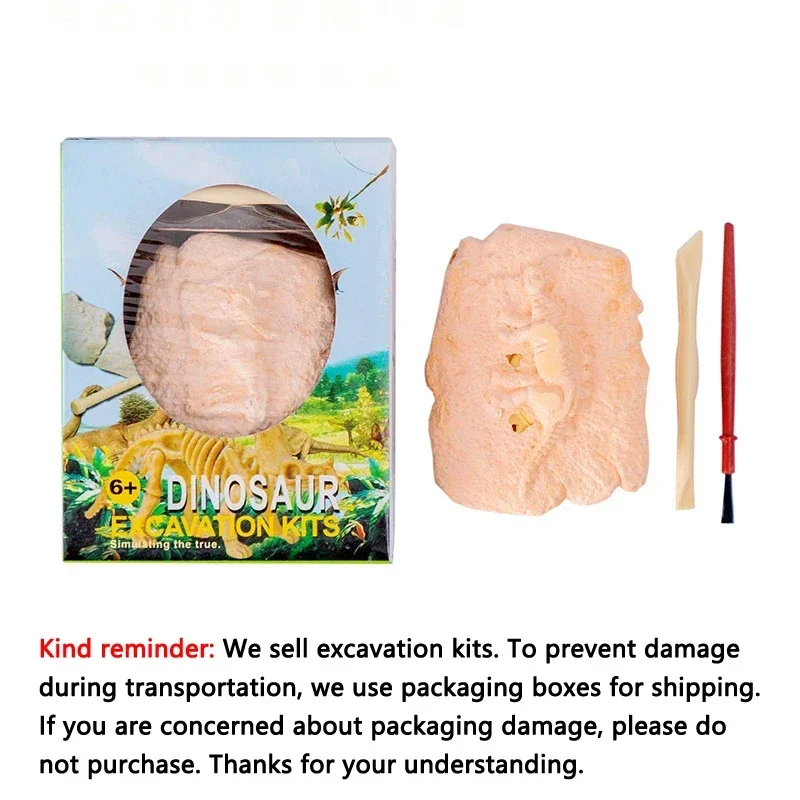 Dinosaur Fossil Dig Kit for Kids – STEM Educational DIY Archaeological Excavation Toy with Dinosaur Skeleton Model Science Gift view 6