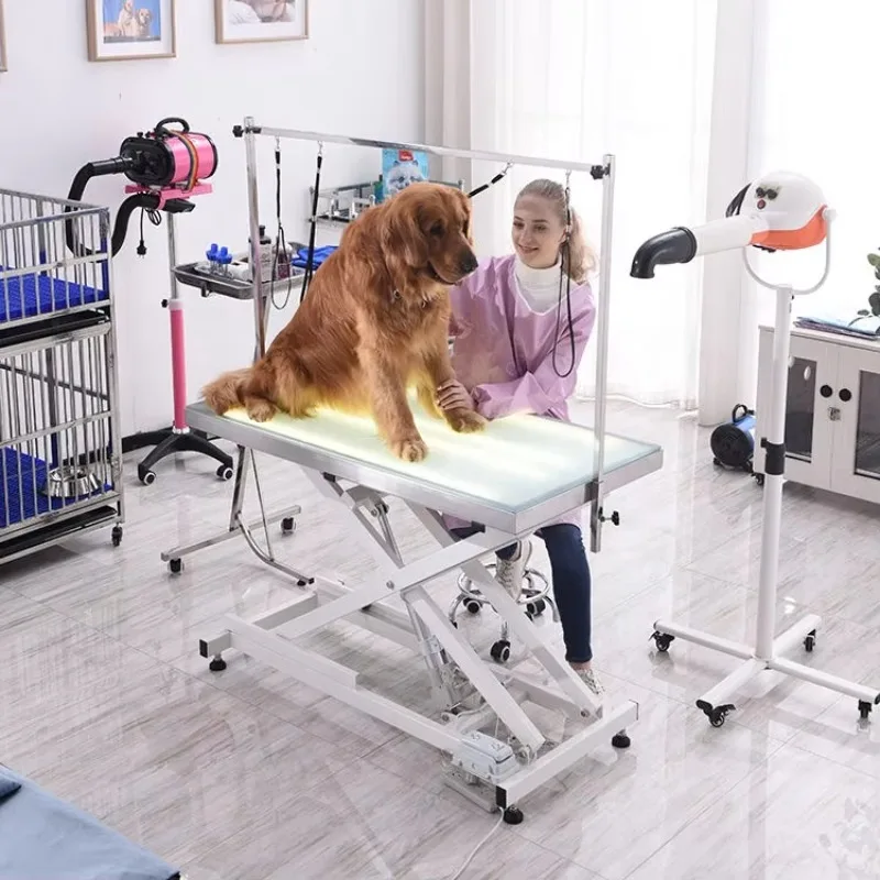 Good Price Electric Hydraulic Cross Lifting Led Light Stainless Steel Frame Pet Large Dog X-lift Heavy Grooming Table