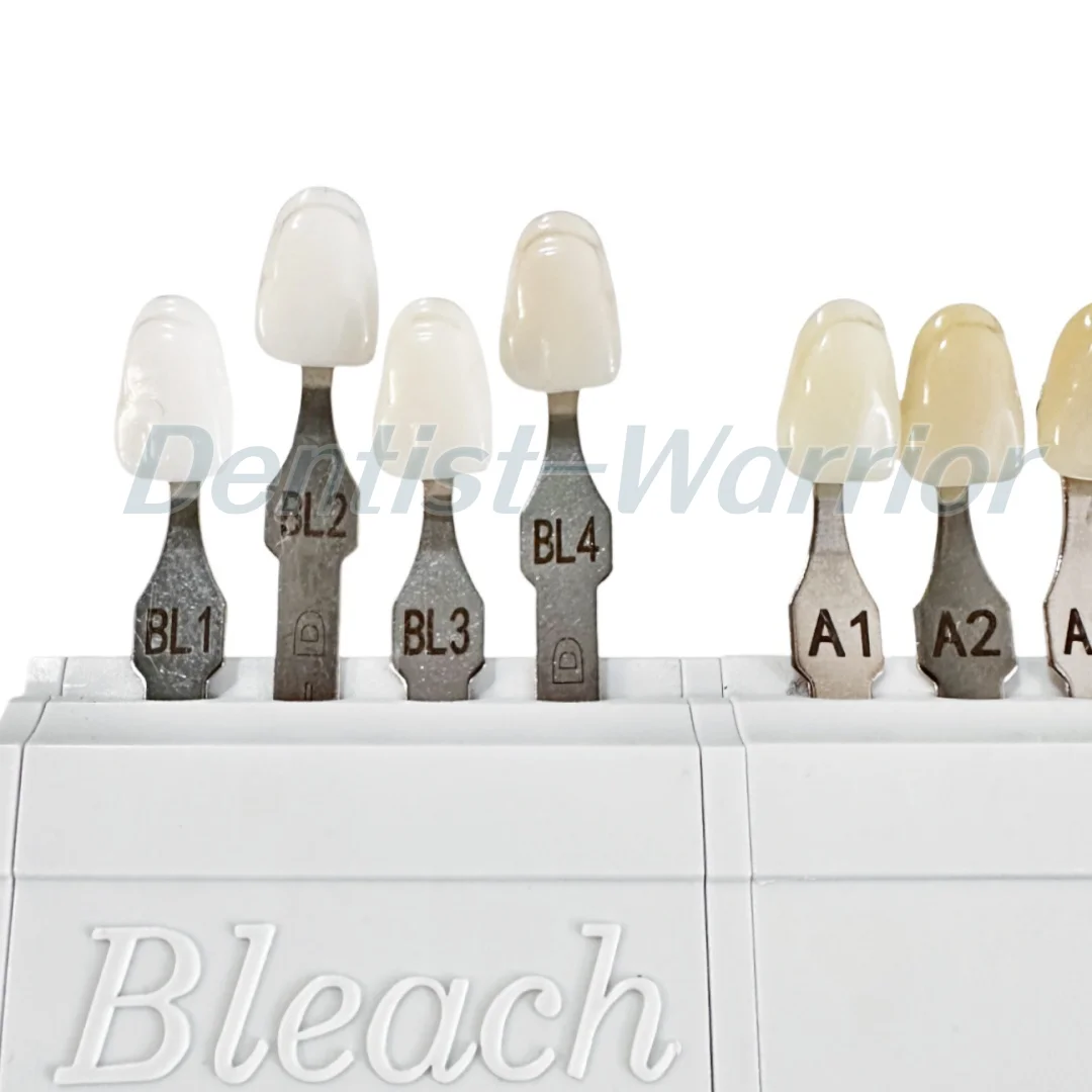 Dental 20Colors A-D Bleached Shade Guide Bleach Chart 4/20 Colors Teeth Whitening Based Vita BL1/2/3/4
