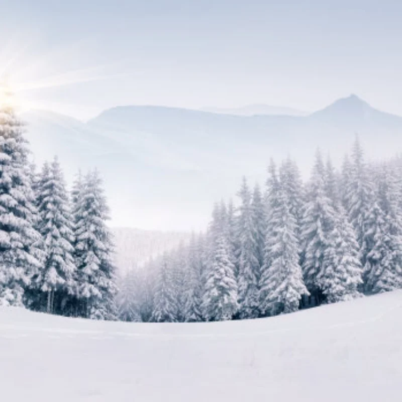 4個入り 62mm 1.2インチ カーボンファイバー ビードロック ホイール タイヤセット 1/18 1/24 RCクローラーカー TRX4M SCX24 AX24 FCX24 アップグレードパーツ用