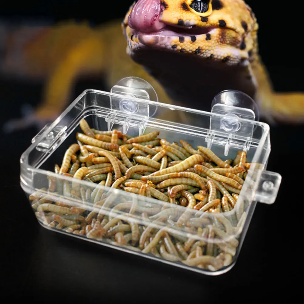 

2Pcs Reptile Feeder Clear Feeding Bowls Round Edge Durable ABS Plastic Safe Water Food Dish Practical Reptile Pet Accessories