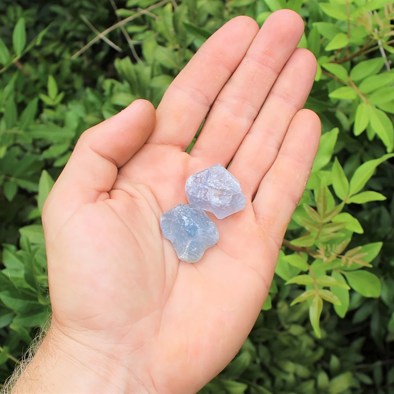 الأحجار الخام Celestite ، قطع الخام الصغيرة ، Celestite ، نقاط ، بلورات زرقاء #3