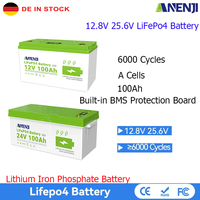 25.6V 12.8V 100Ah LiFePo4 Battery Grade A 6000+ Cycles Rechargeable Lithium Battery Built-in BMS 2560Wh for Rv,Inverter use