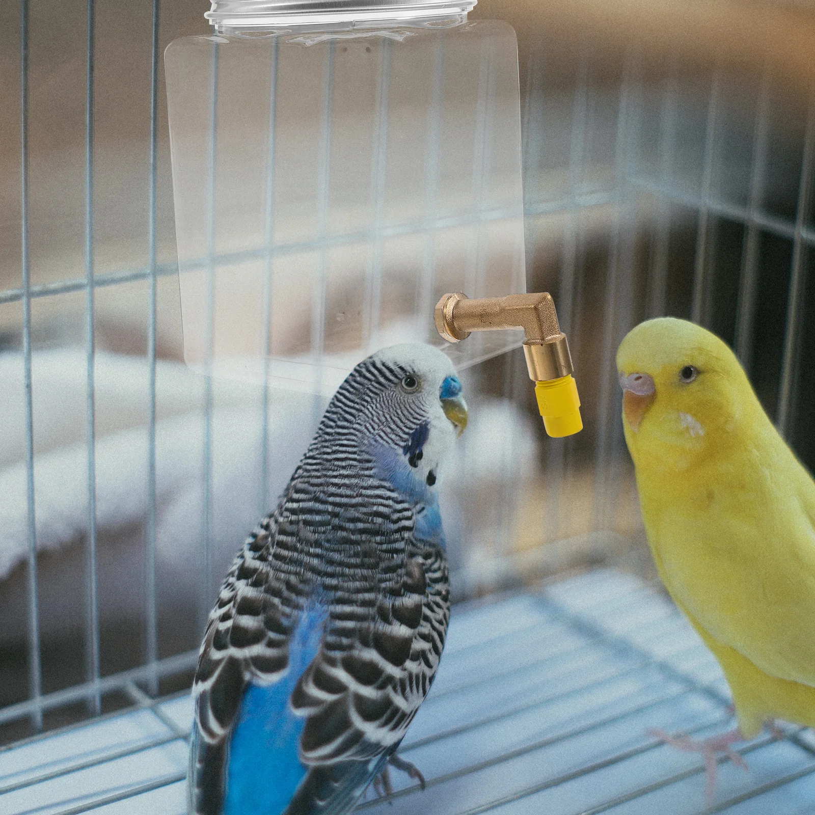 

Bird Water Dispenser Automatic Large Capacity Tipping Prevention Clean Environment Suitable Various Birds Easy Maintenance