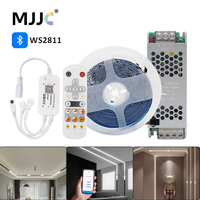 DC 24V WS2811 Horse Race Running Strip Lights SMD2835 Flexible Ribbon Pixel Tape Lamp Smart Bluetooth APP IR Remote Control