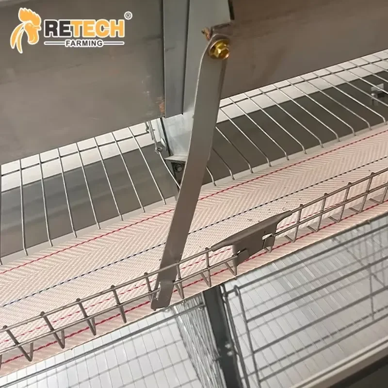Automatic Poultry Farm Type System Chicken Layer Cage for Egg Production