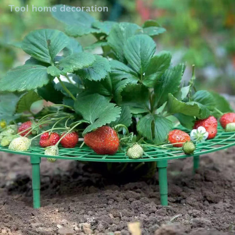 1/5pcs Strawberry Prop System with 4 Stable Legs; Ensures Clean Berries Farming Equipment Strawberry Growth Aid