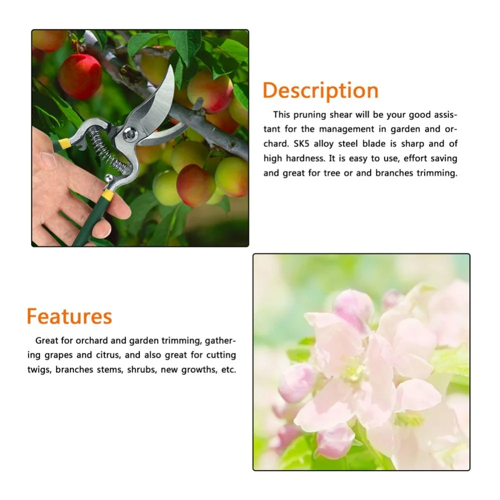 High Carbon Steel Pruning Shears Double-Sided Polished Black and Green Bypass Pruners Soft Coated Handle Ergonomic Handle