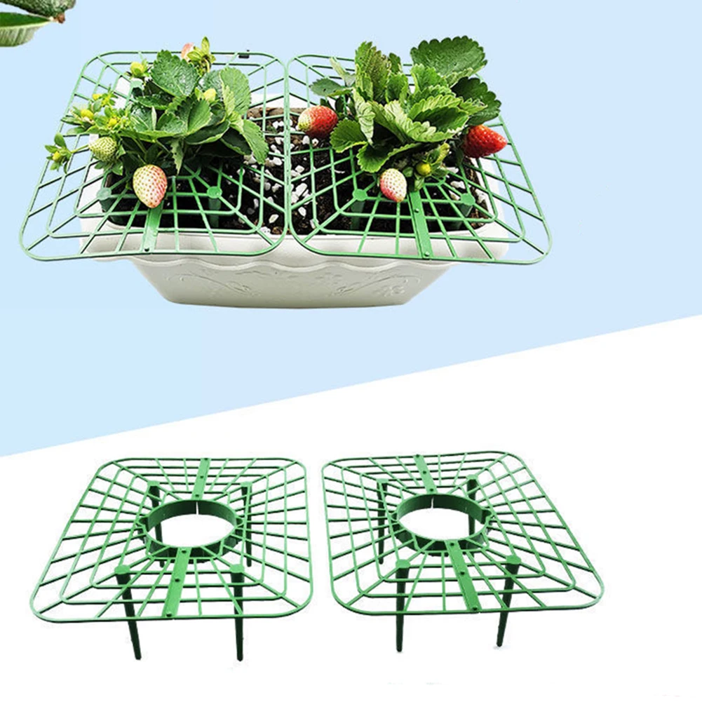 

5/10pcs Strawberry Supports,Strawberry Plant Support With 4 Sturdy Support Feet Garden Tools For Protecting Vines Avoid Ground