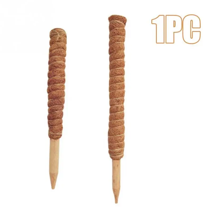 30/40/50 سنتيمتر نبات تسلق جوز الهند الطوطم القطب آمنة البستنة جوز الهند عصا لتسلق النباتات الكروم والزواحف دعم النبات