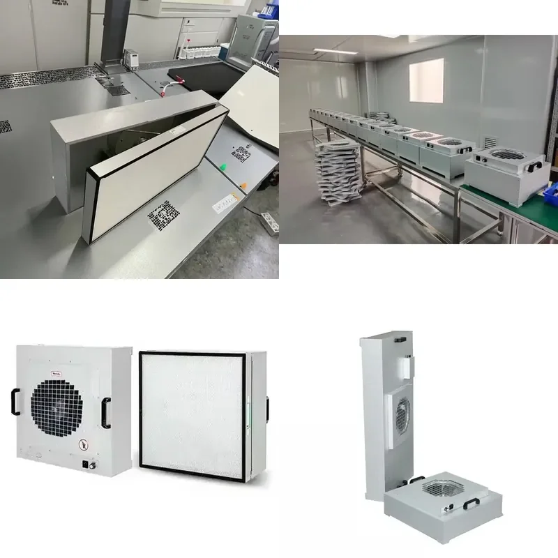 Premium Box Filter Structure Best Laminar Flow Mycology Hood for Sale
