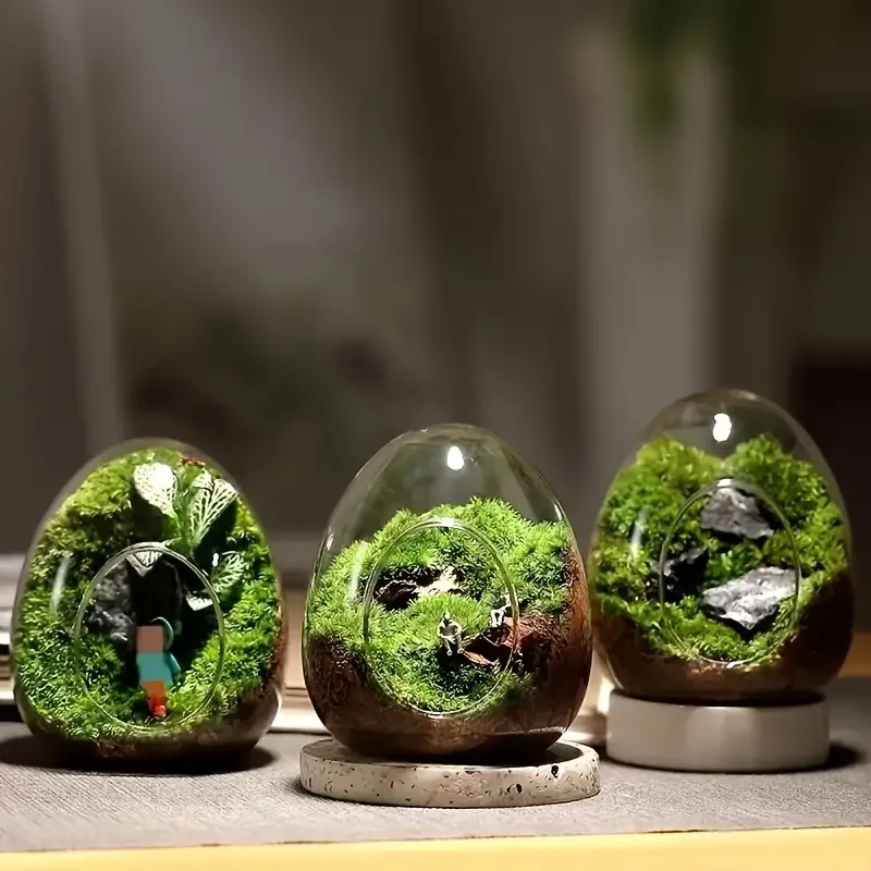 Creative Micro Landscape Transparent High Borosilicate Glass Vase Moss Succulent Plant DIY Ecological Bottle Home Decoration