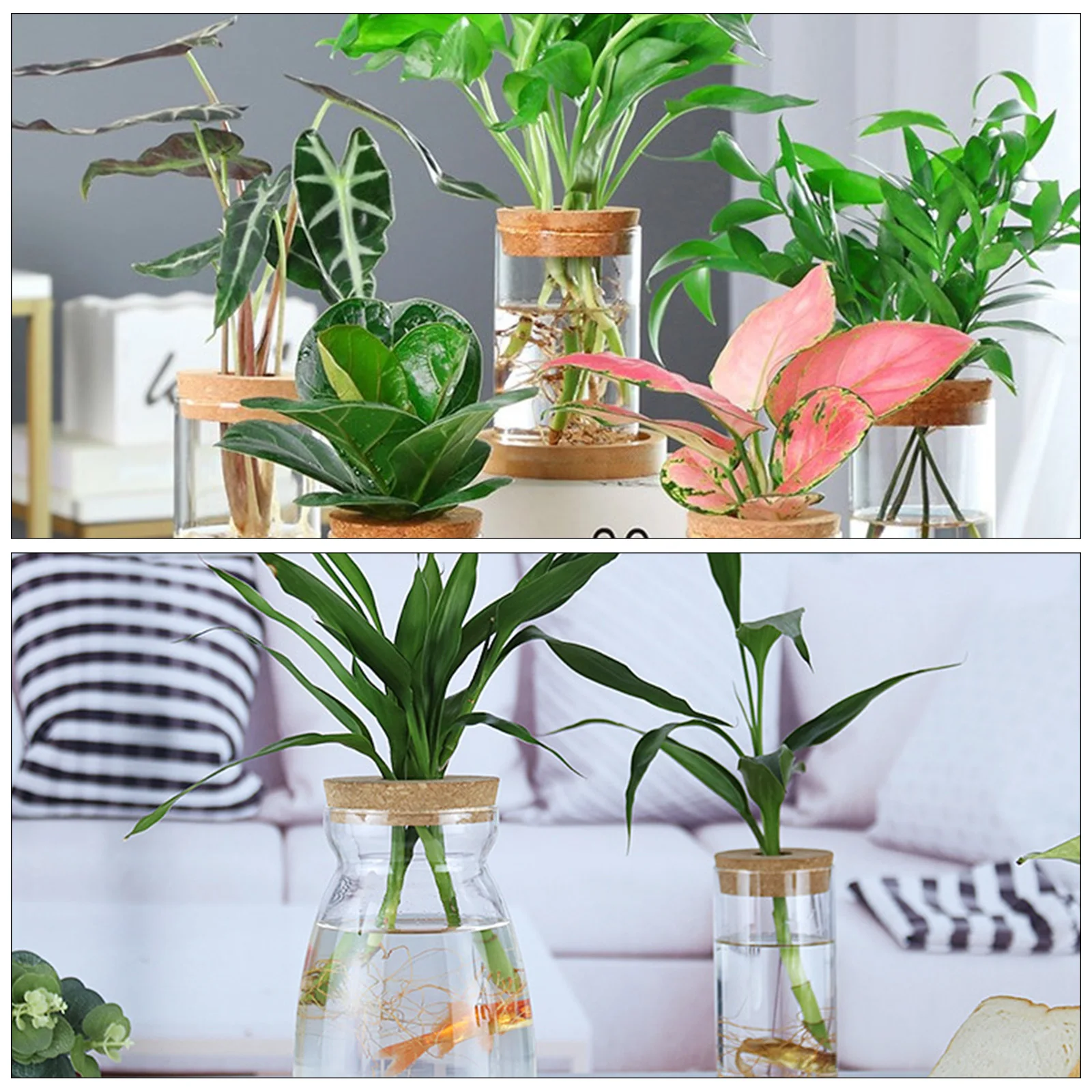 

4pcs Hydroponic Vase Lid Wood Planter Cover Glass Bottle Caps Hole Design Sprouting Pot Gardening Tools Desktop Decor Plant