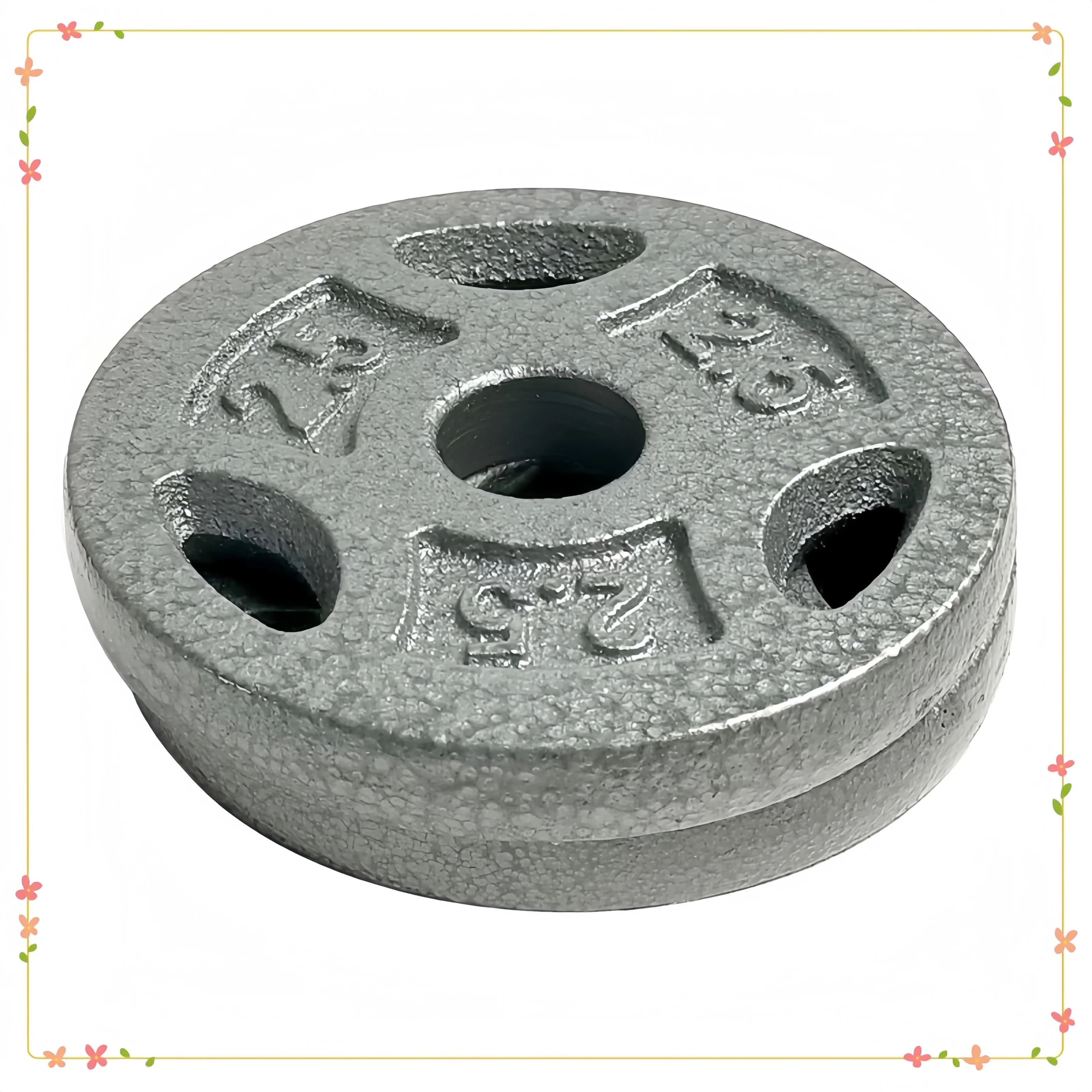 2.5lb Grip Plate Pair, Standard Weight Lifting Discs for Home Gym Strength Training, Barbell Dumbbell Fitness Equipment