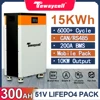 테웨이셀 15KWH 리튬인산철 배터리 팩 파워월 48V 51V 300AH 내장 BMS CAN RS485 모니터 태양광 에너지 시스템 ESS EU 무관세 1