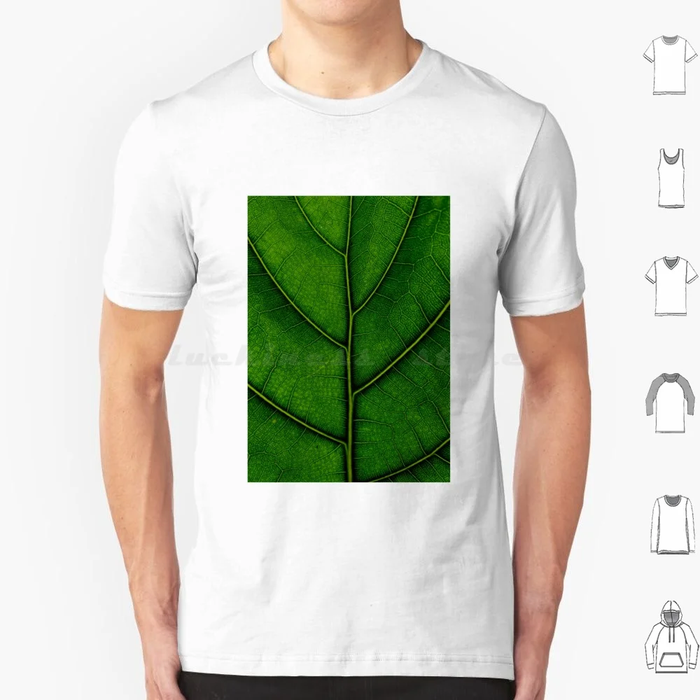 Green Ficus Pandurata T Shirt 6xl Cotton Cool Tee Ficus Ficus Pandurata Detail Sheet Botany