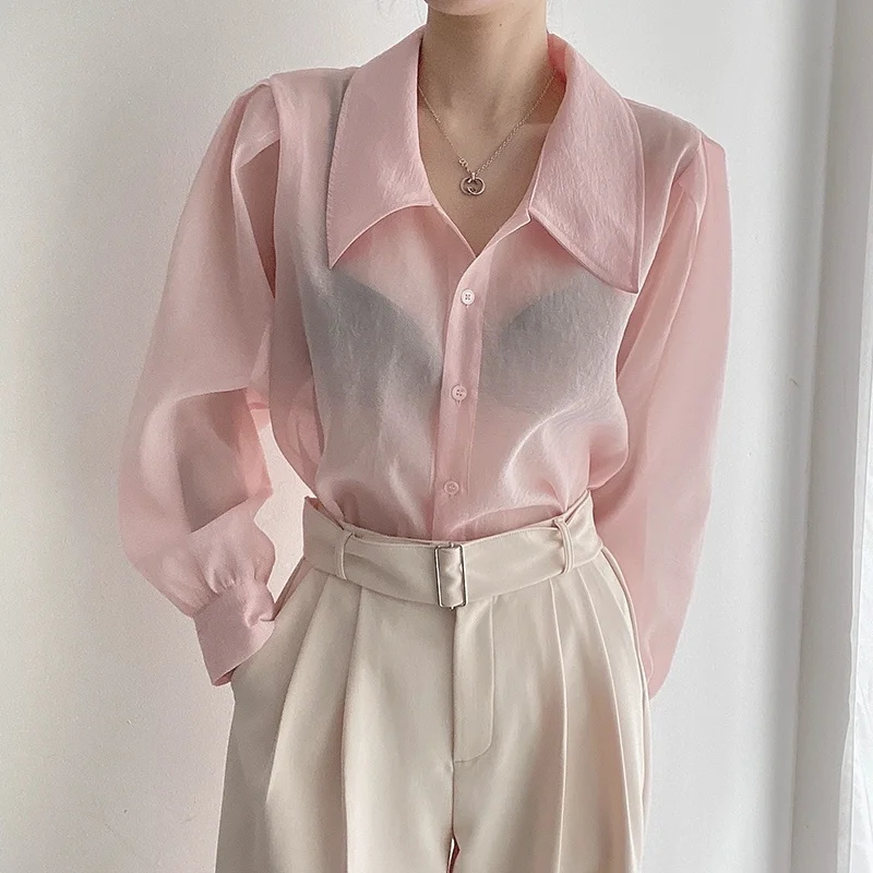 YZJNH 2026 Spring New Shirt Women's Korean Chic French Style Micro Transparent Shirt High End Versatile Long Sleeve Shirt Women
