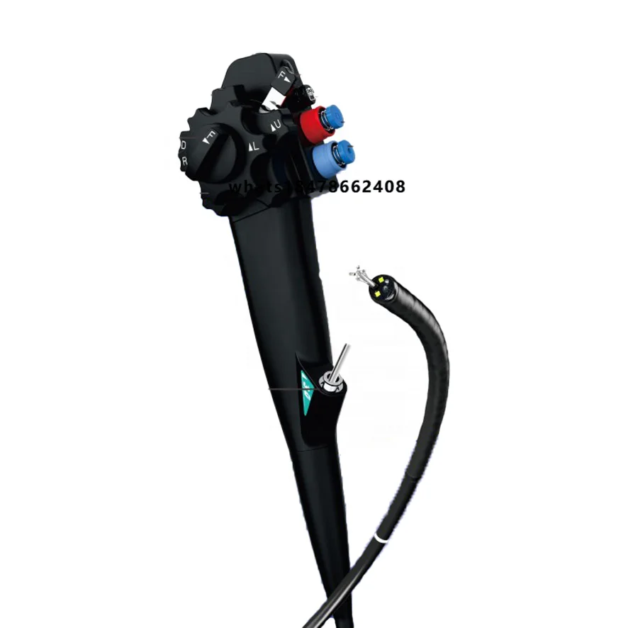 IN-GP12 Veterinary Endoscope Flexible Gastroscope Digital Portable Endoscope