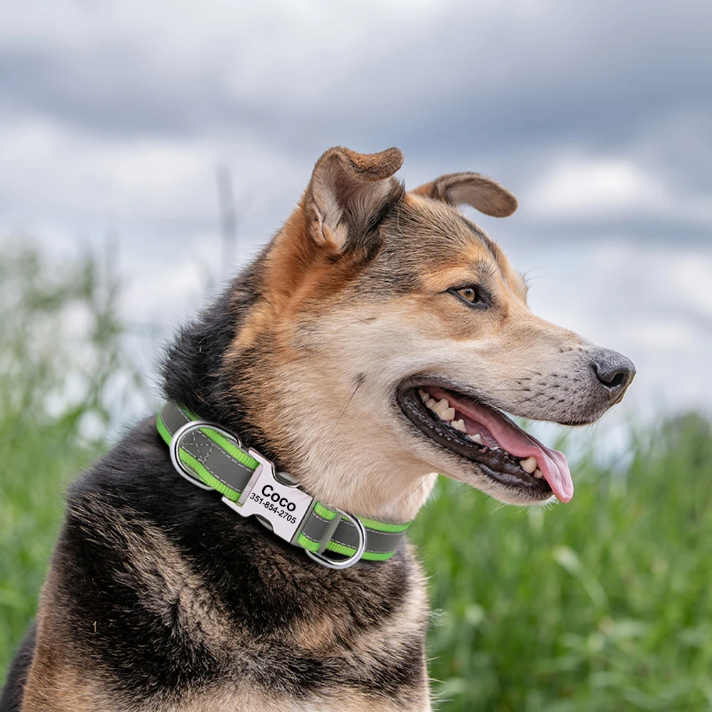 Collar de nailon para perro, accesorio reflectante y suave, personalizado, duradero, ajustable, para cachorros pequeños, medianos y grandes