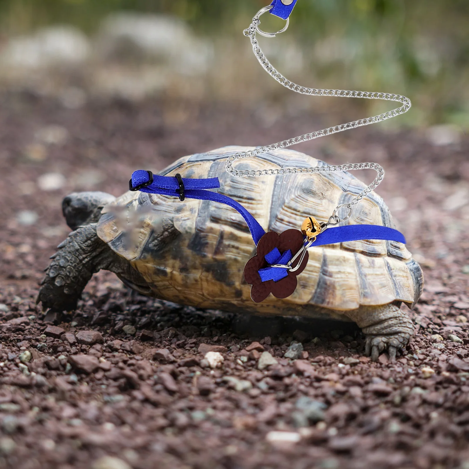

Turtle Walking Leash Pet Pulling Rope Tortoise Hauling Supplies Adjustable Leopard Print Durable Practical Lasting Use Gift