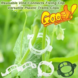 Reusable Vine Connects Fixing Clip plastic trellis clips for Climbing Plants Cucumbers Peppers Vegetables Support Fixation Clamp